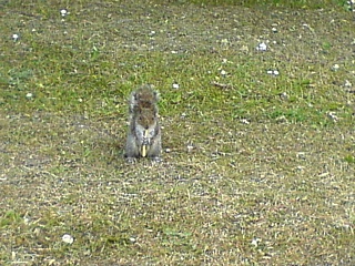 &nbsp;Select this image to see a larger version. 