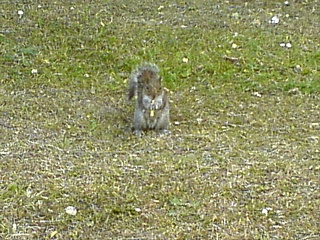 &nbsp;Select this image to see a larger version. 