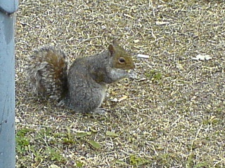 &nbsp;Select this image to see a larger version. 