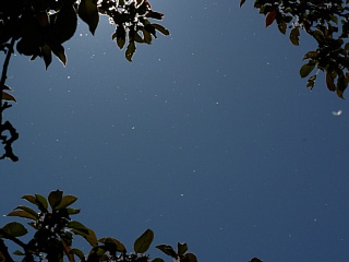 &nbsp;Select this image to see a larger version. 