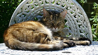 &nbsp;Select this image to see a larger version. 