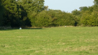 &nbsp;Select this image to see a larger version. 