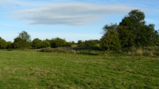 &nbsp;Select this image to see a larger version. 