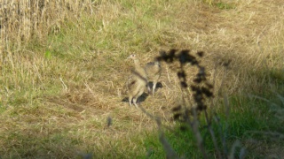 &nbsp;Select this image to see a larger version. 