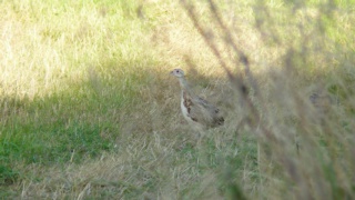 &nbsp;Select this image to see a larger version. 