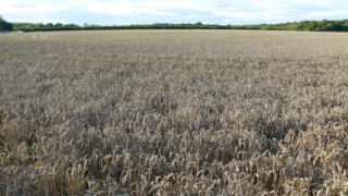 &nbsp;Select this image to see a larger version. 