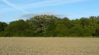 &nbsp;Select this image to see a larger version. 