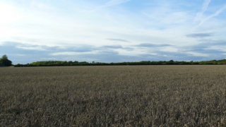 &nbsp;Select this image to see a larger version. 