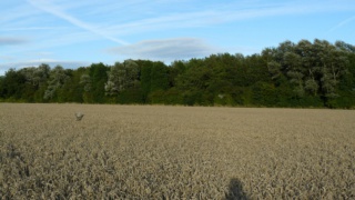 &nbsp;Select this image to see a larger version. 