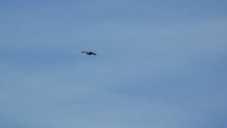 &nbsp;Select this image to see a larger version. 