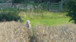 &nbsp;Select this image to see a larger version. 