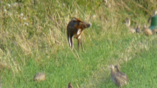 &nbsp;Select this image to see a larger version. 