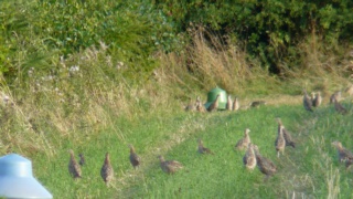 &nbsp;Select this image to see a larger version. 