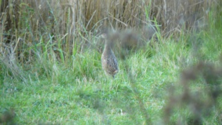 &nbsp;Select this image to see a larger version. 