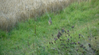 &nbsp;Select this image to see a larger version. 