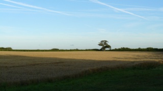 &nbsp;Select this image to see a larger version. 