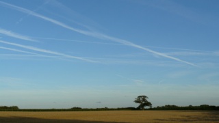 &nbsp;Select this image to see a larger version. 