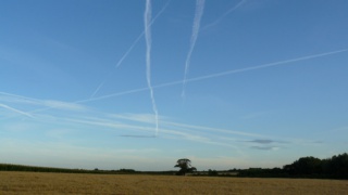 &nbsp;Select this image to see a larger version. 