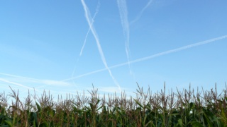 &nbsp;Select this image to see a larger version. 