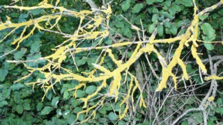 &nbsp;Select this image to see a larger version. 