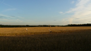 &nbsp;Select this image to see a larger version. 