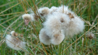 &nbsp;Select this image to see a larger version. 