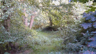 &nbsp;Select this image to see a larger version. 