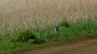 &nbsp;Select this image to see a larger version. 