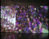 My still photos don't move but many are in 3D