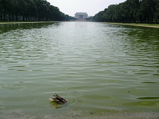 &nbsp;Select this image to see a larger version. 