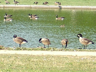 &nbsp;Select this image to see a larger version. 