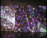 &nbsp;Select this image to see a larger version. 