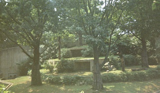 &nbsp;Select this image to see a larger version. 