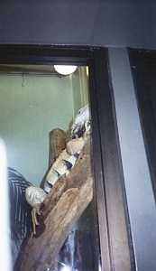 &nbsp;Select this image to see a larger version. 