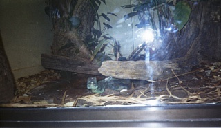 &nbsp;Select this image to see a larger version. 