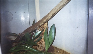 &nbsp;Select this image to see a larger version. 