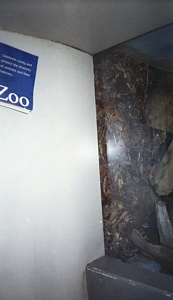 &nbsp;Select this image to see a larger version. 