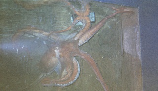 &nbsp;Select this image to see a larger version. 