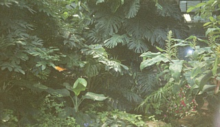 &nbsp;Select this image to see a larger version. 