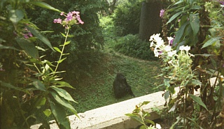 &nbsp;Select this image to see a larger version. 