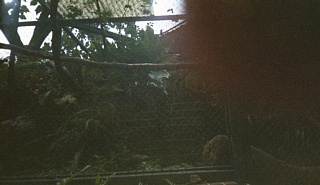 &nbsp;Select this image to see a larger version. 