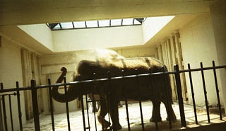 &nbsp;Select this image to see a larger version. 