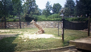 &nbsp;Select this image to see a larger version. 