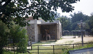 &nbsp;Select this image to see a larger version. 