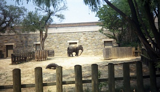 &nbsp;Select this image to see a larger version. 