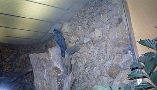 &nbsp;Select this image to see a larger version. 