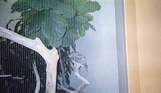 &nbsp;Select this image to see a larger version. 