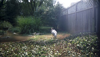 &nbsp;Select this image to see a larger version. 