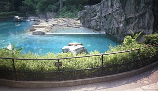 &nbsp;Select this image to see a larger version. 