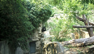 &nbsp;Select this image to see a larger version. 